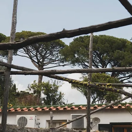 Casa With Terrace & Garden Holiday home Ravello